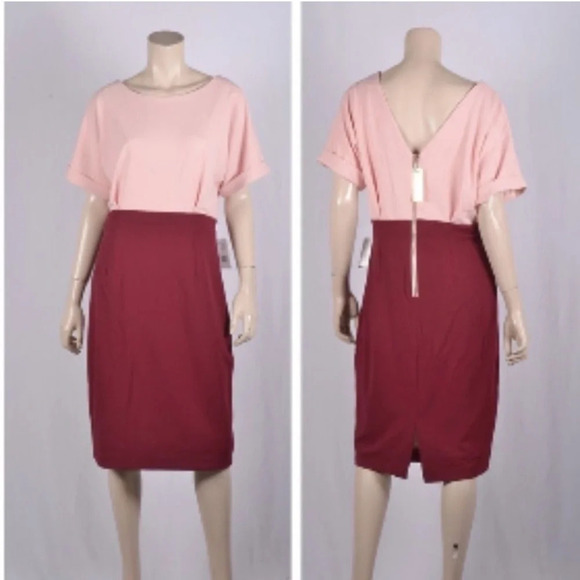 Alexia Ardmor NEW Color Block Pink/Burgundy Midi Sheath Dress Size XL - Picture 2 of 12